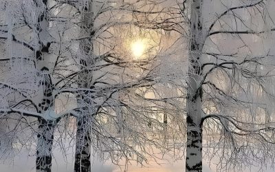 Four Seasons of Mindfulness: Winter